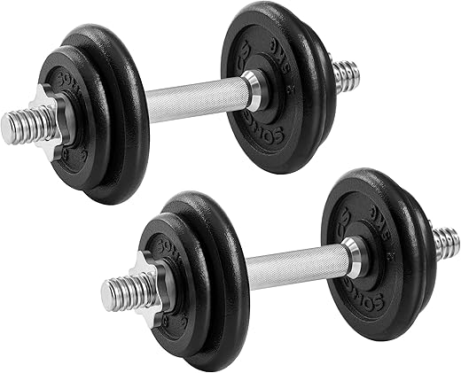 SONGMICS Hanteln, Hantelset aus Gusseisen, verstellbar, für Männer und Frauen, Workout, Fitnesstraining, Gewichtheben für Zuhause, Fitnessstudio